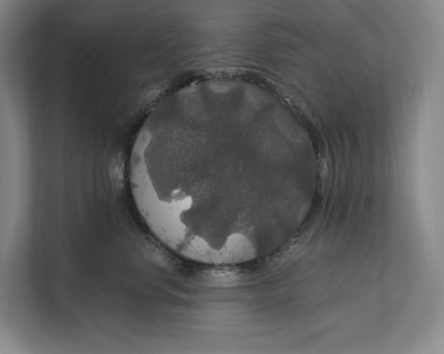 X0000112020668200908171431