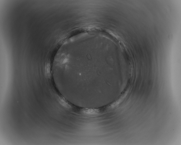 X0000112020670200908171431