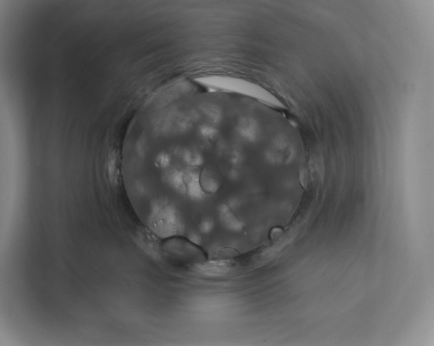 X0000112020671200908171431