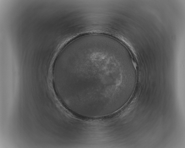 X0000112020673200908171430