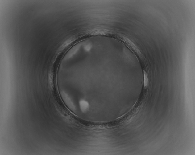 X0000112020675200908171430