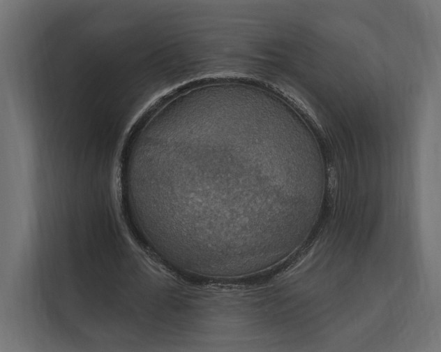 X0000112020676200908171430