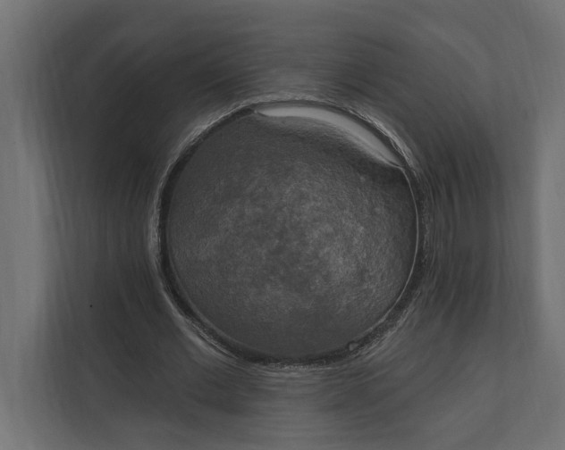 X0000112020677200908171430