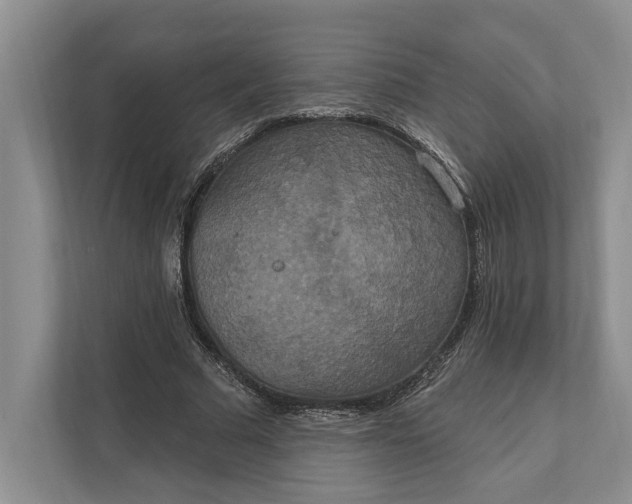 X0000112020681200908171430