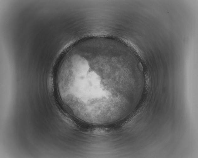 X0000112020684200908171430