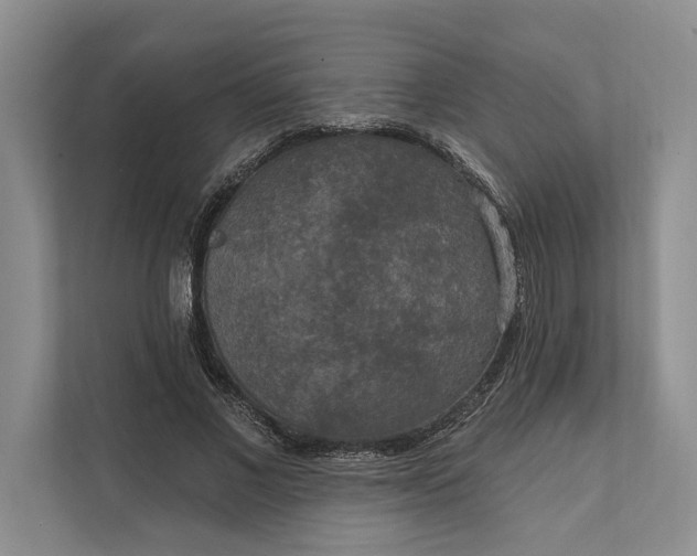 X0000112020685200908171430