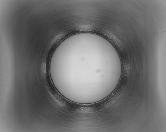 X0000112020686200908171430