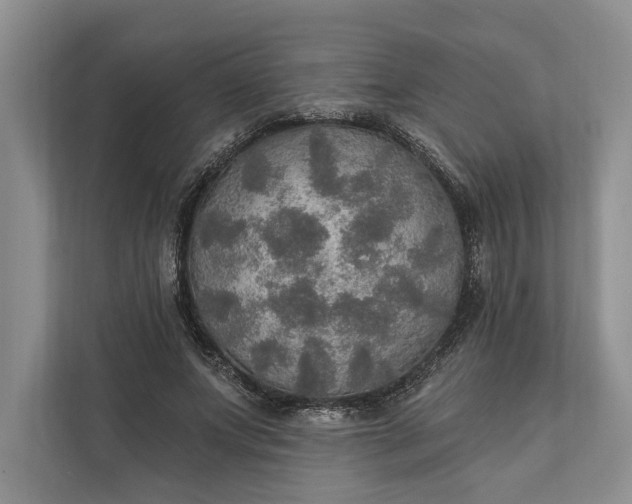 X0000112020687200908171430