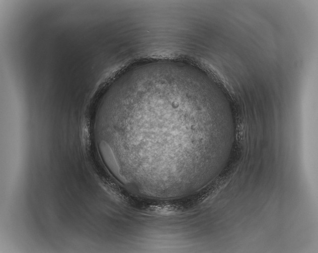 X0000112020688200908171430