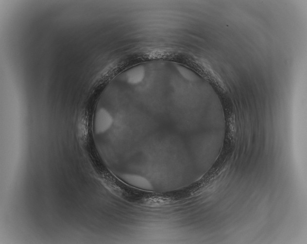 X0000112020691200908171430