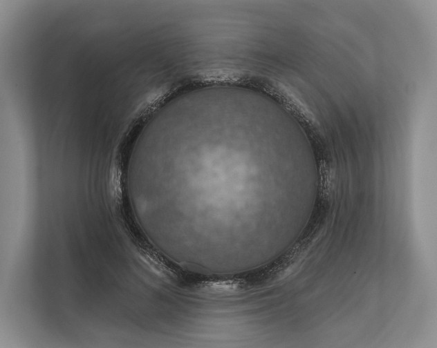 X0000112020692200908171430