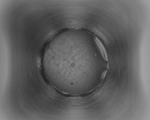 X0000112020693200908171430