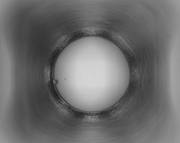 X0000112020694200908171430