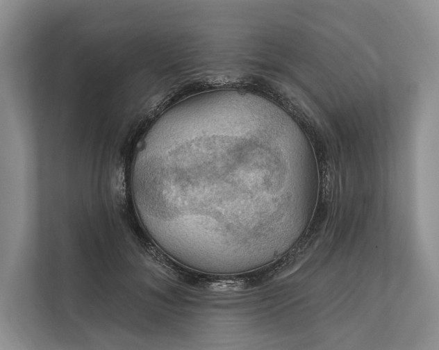 X0000112020700200908171430