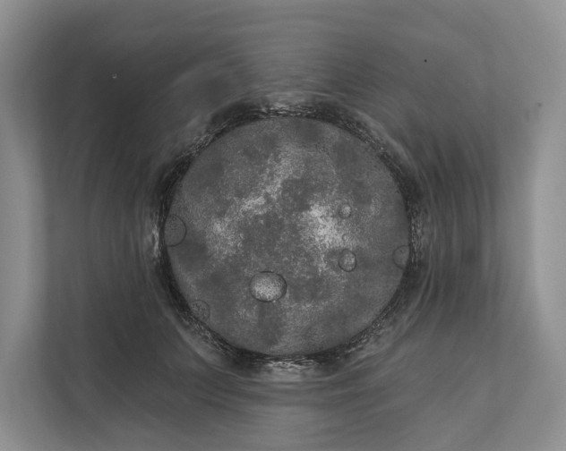 X0000112020703200908171430