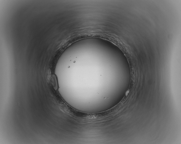 X0000112020704200908171430