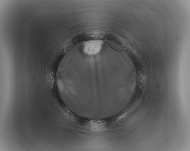 X0000112020707200908171430