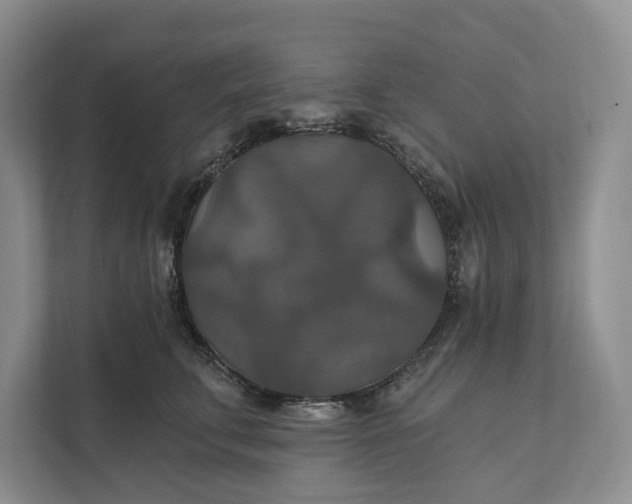 X0000112020711200908171430