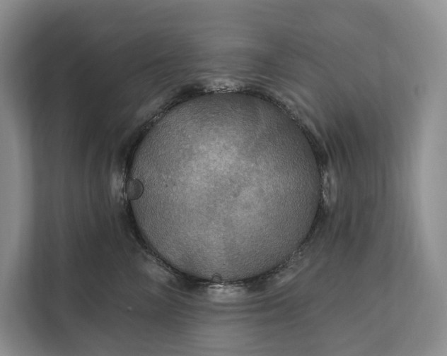 X0000112020714200908171430