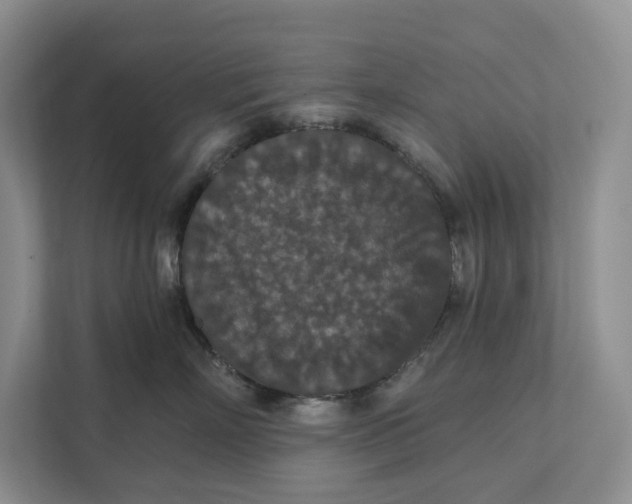 X0000112020718200908171430