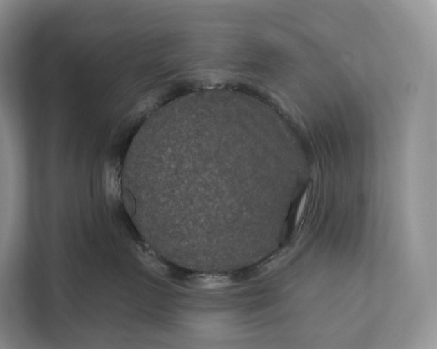 X0000112020719200908171430