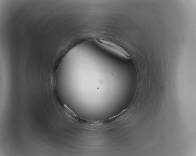 X0000112020720200908171430