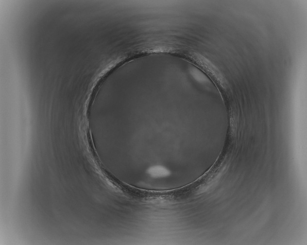 X0000112020721200908171429