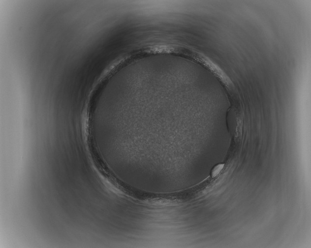 X0000112020722200908171429