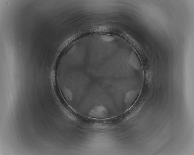 X0000112020725200908171429