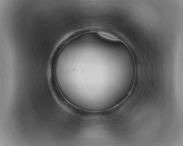 X0000112020726200908171429