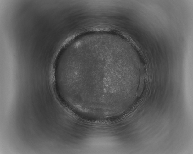 X0000112020727200908171429