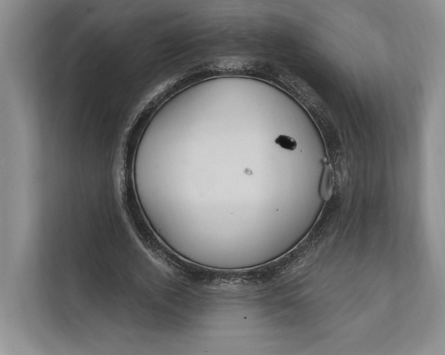 X0000112020728200908171429