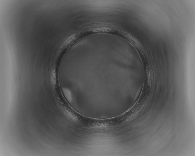 X0000112020729200908171429