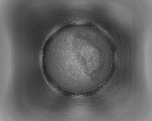 X0000112020730200908171429