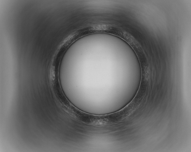 X0000112020731200908171429