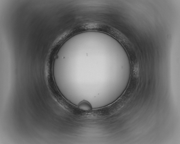 X0000112020732200908171429