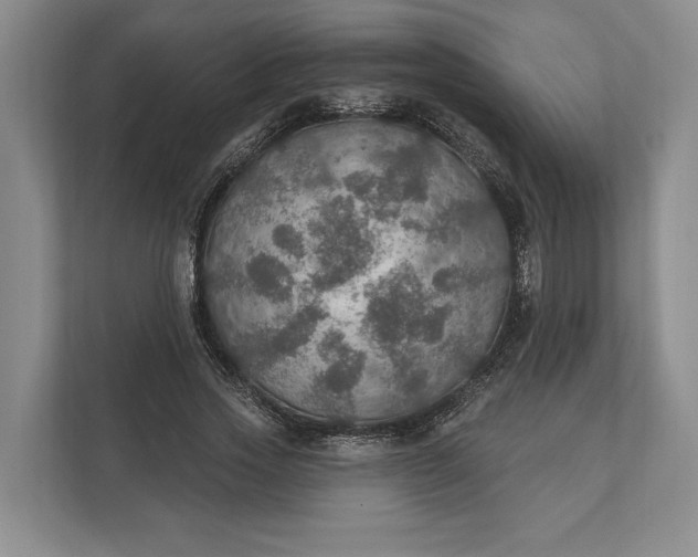 X0000112020733200908171429