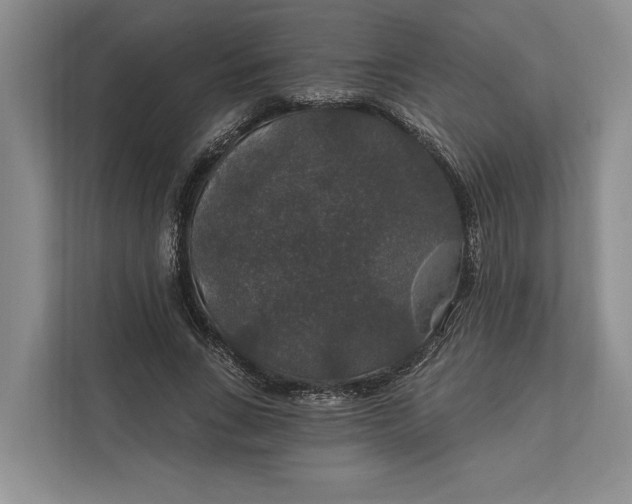 X0000112020735200908171429