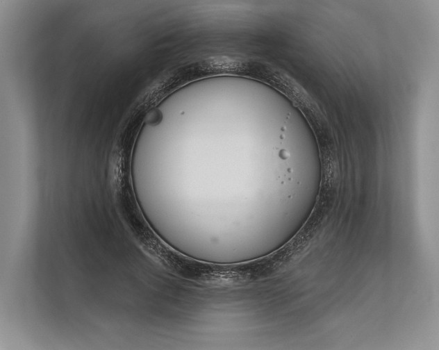 X0000112020736200908171429