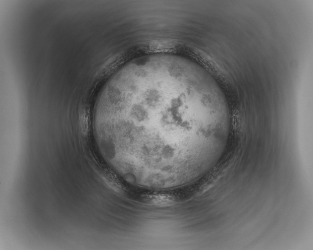 X0000112020741200908171429