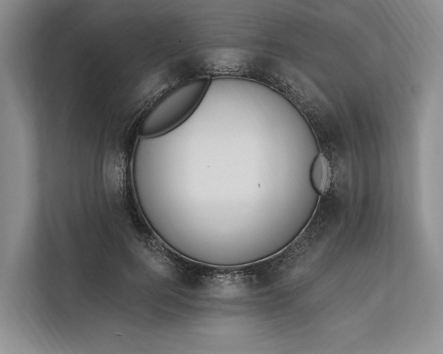 X0000112020744200908171429