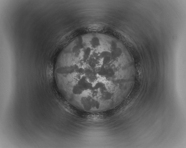 X0000112020745200908171429