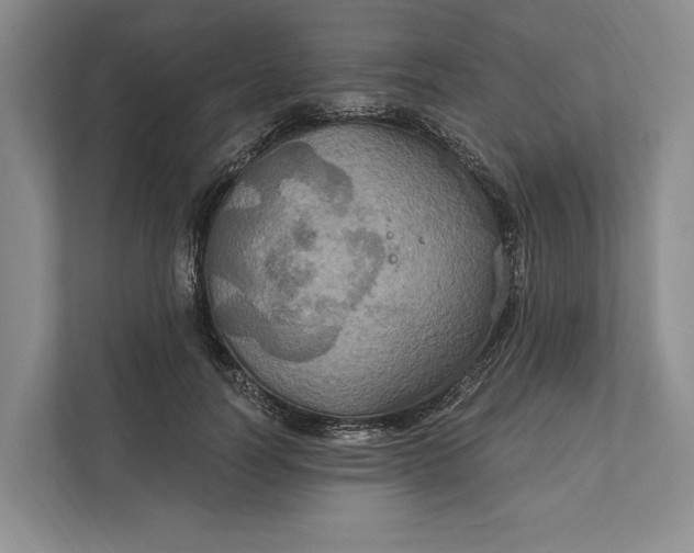 X0000112020746200908171429