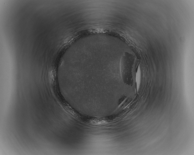 X0000112020747200908171430