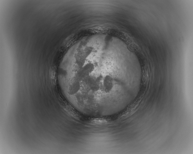 X0000112020749200908171430