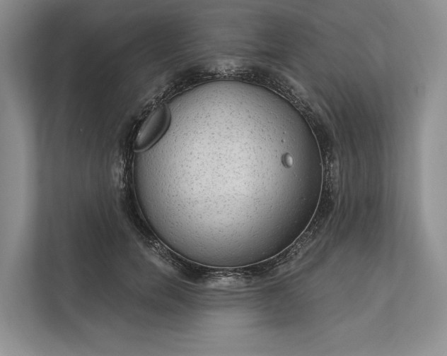 X0000112020750200908171430