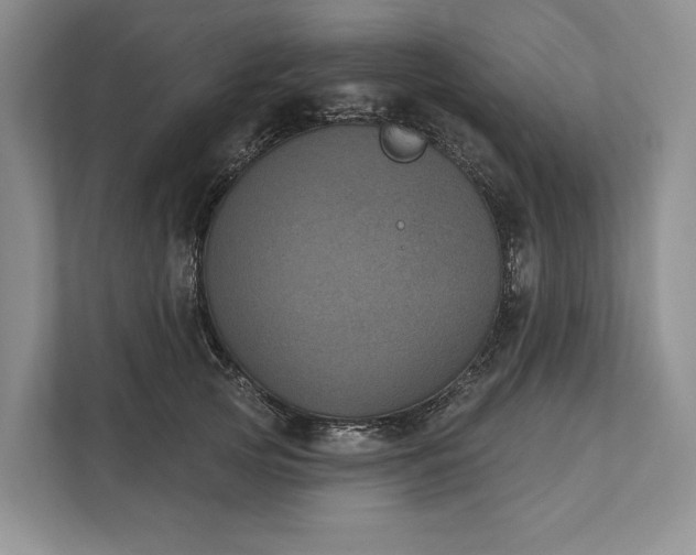 X0000112020753200908171430