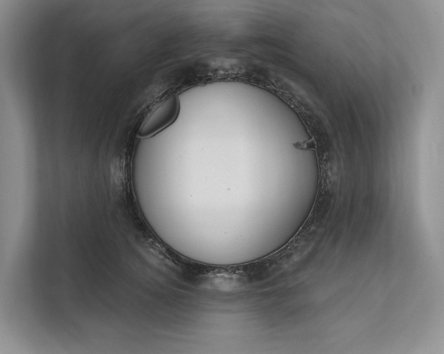 X0000112020756200908171430