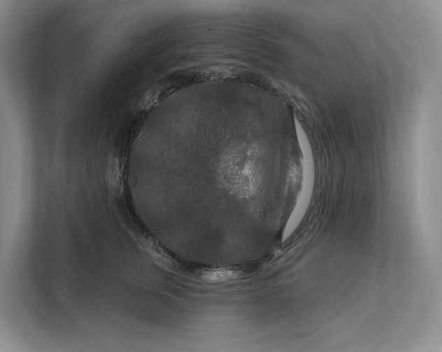 X0000112020759200908171430