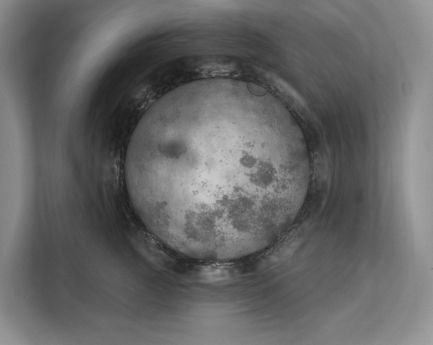 X0000112020761200908171430